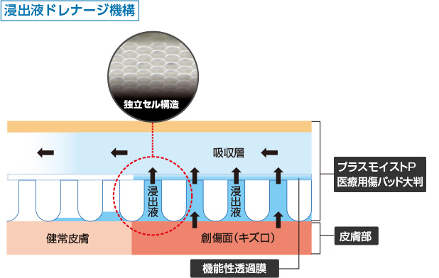 図）浸出液ドレナージ機構