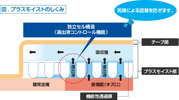 図）プラスモイストのしくみ