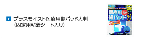 プラスモイスト医療用傷パッド大判