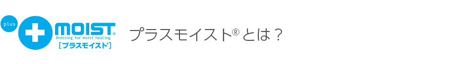 プラスモイストとは？