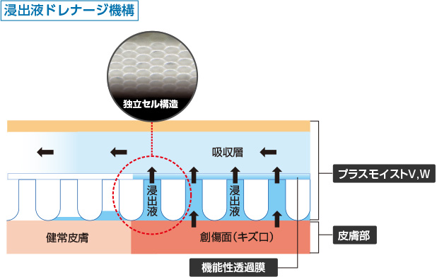 図）浸出液ドレナージ機構